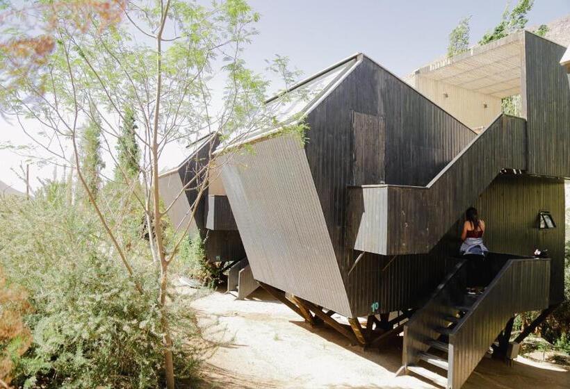 اتاق استاندارد, Milodge Elqui Domos