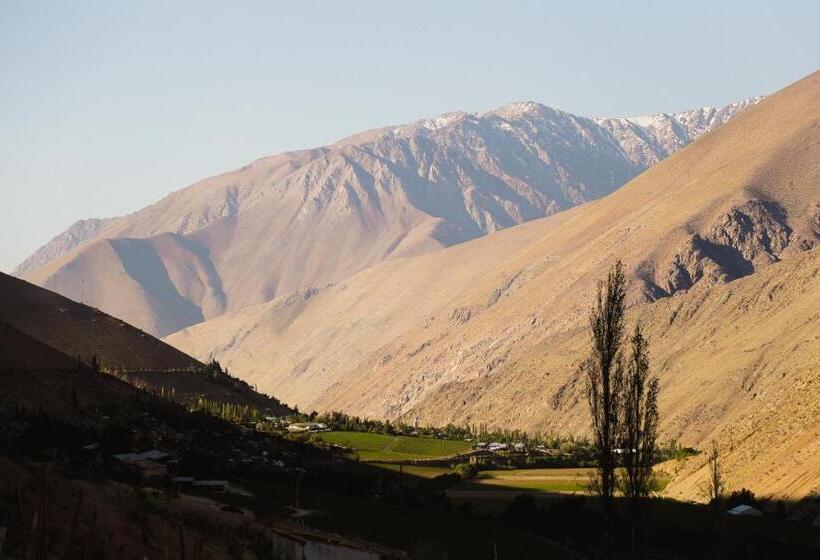 اتاق استاندارد, Milodge Elqui Domos