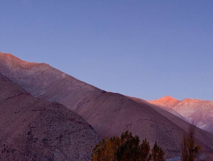 اتاق استاندارد, Milodge Elqui Domos