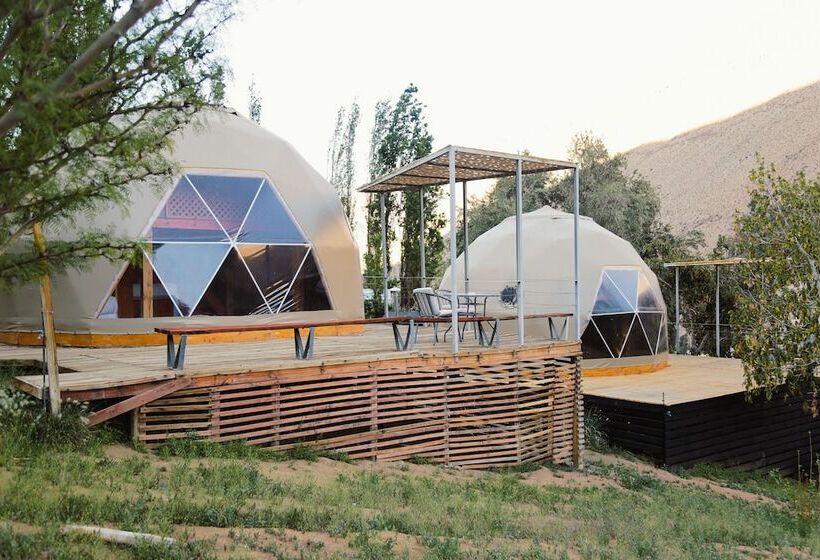 اتاق استاندارد, Milodge Elqui Domos