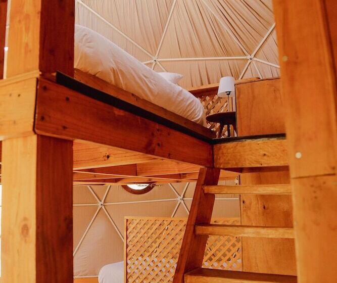 اتاق استاندارد, Milodge Elqui Domos
