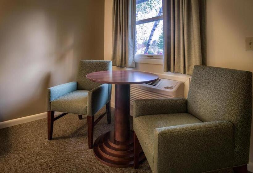 اتاق سوپریور با تخت بزرگ, Sun & Ski Inn And Suites