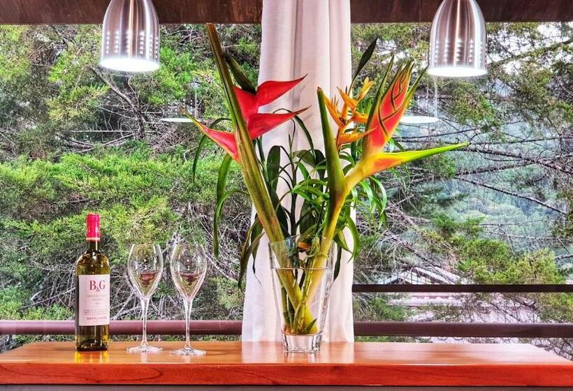 带1个卧室带花园景观的公寓, Villa Alejandro