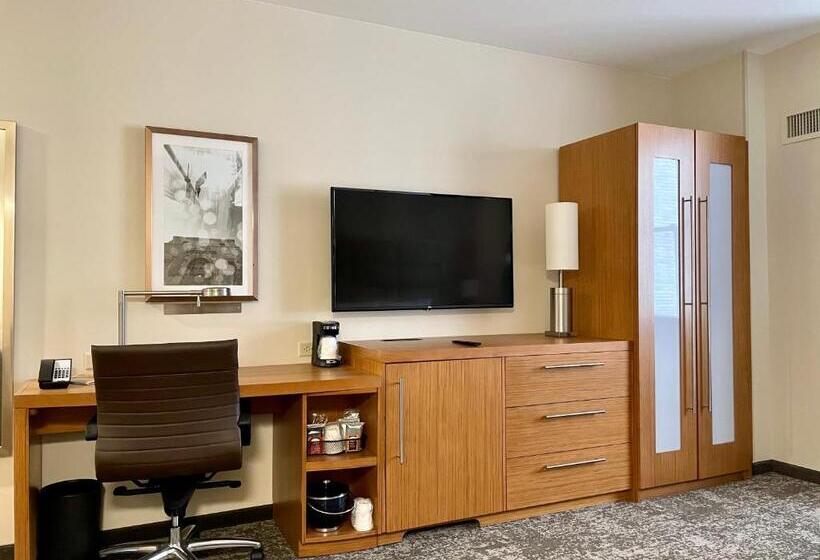 スタンダードシティビュールーム, Hyatt Place Houston Downtown