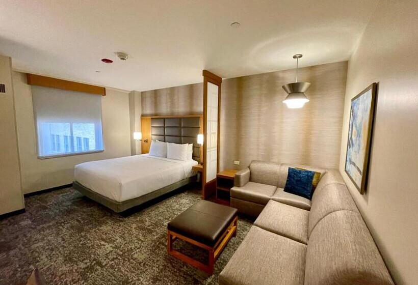 上層階スタンダードルーム, Hyatt Place Houston Downtown