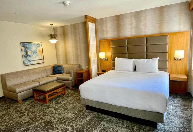 身障者適用キングサイズベッドルーム, Hyatt Place Houston Downtown