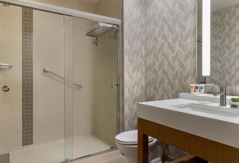 スタンダードルーム, Hyatt Place Houston Downtown