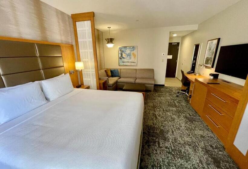 スタンダードルーム, Hyatt Place Houston Downtown