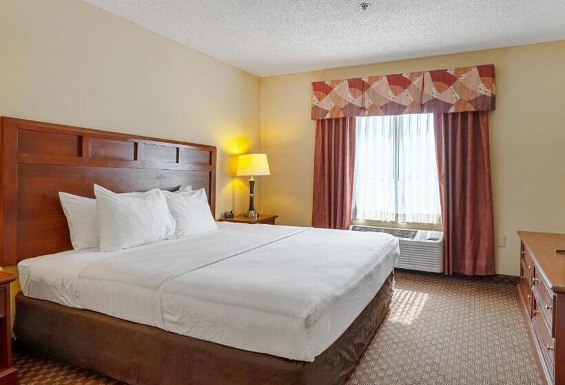 Люкс Кровать Кинг, Quality Suites San Antonio Northeast