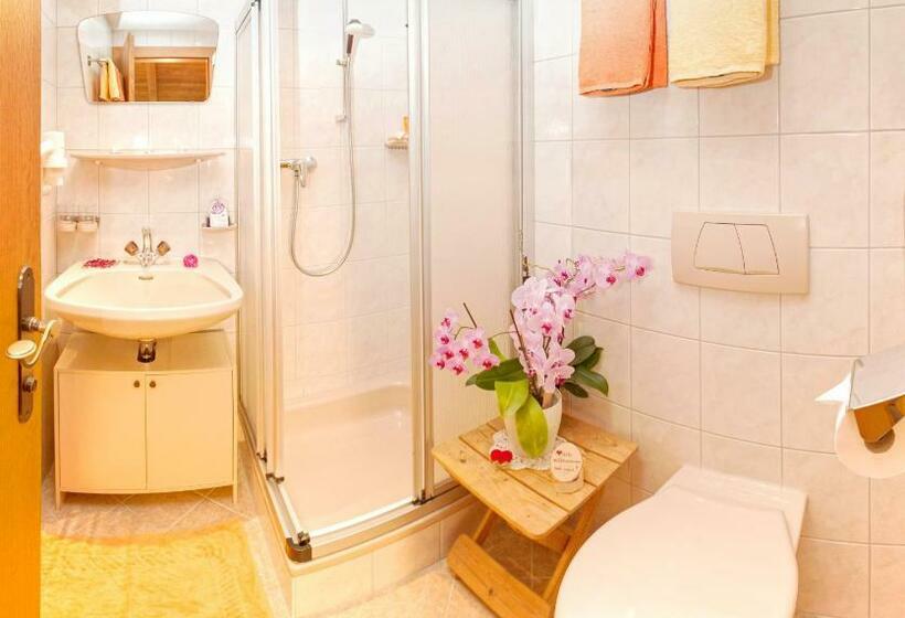 Апартаменты 1 Спальня с Балконом, Apart Alpensonne Zillertal