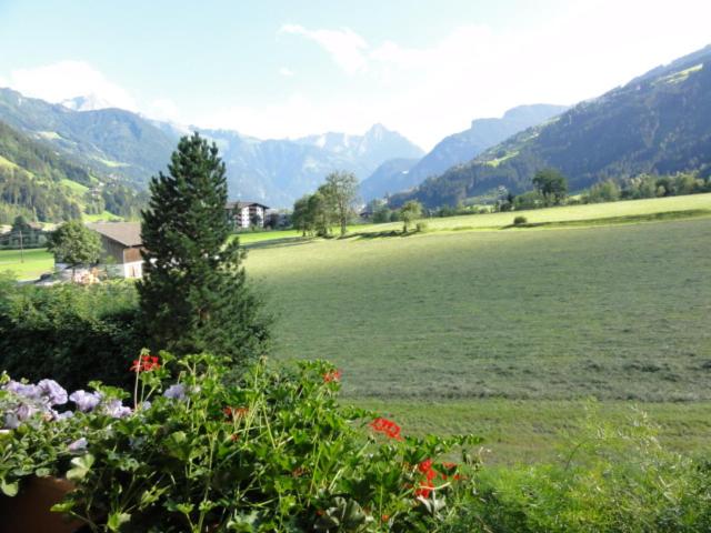 Апартаменты 1 Спальня с Видом, Apart Alpensonne Zillertal