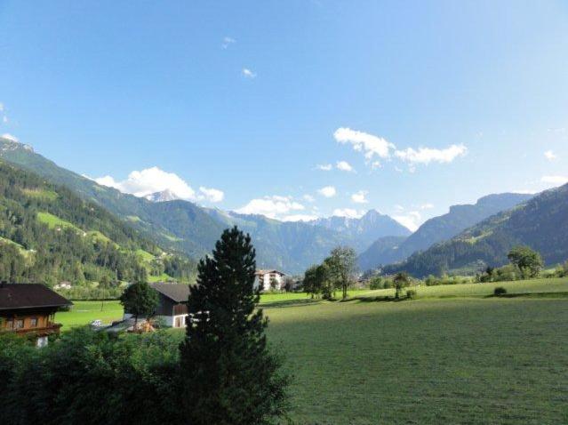 Апартаменты 1 Спальня с Видом, Apart Alpensonne Zillertal