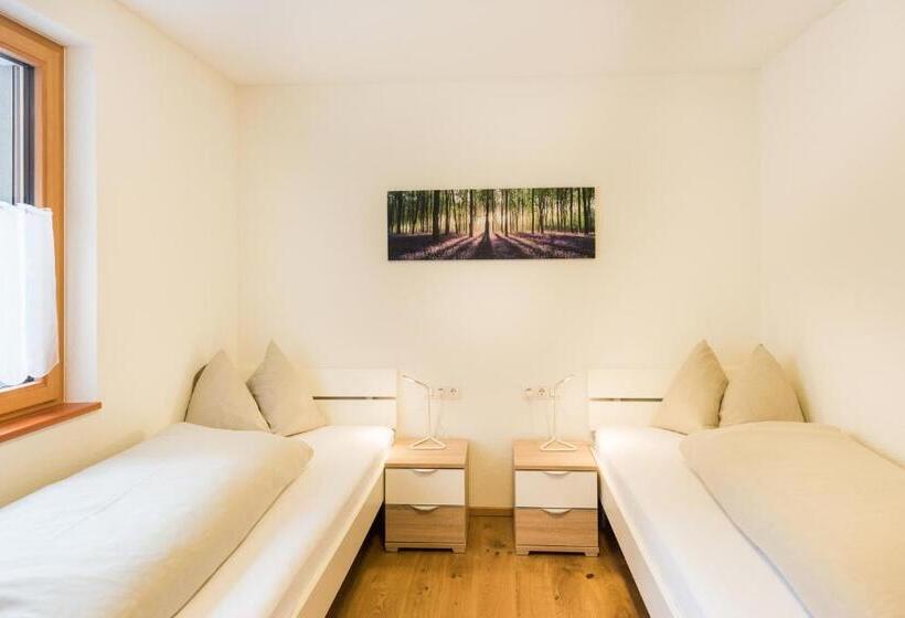 Апартаменты 1 Спальня с Балконом, Damüls Appartements