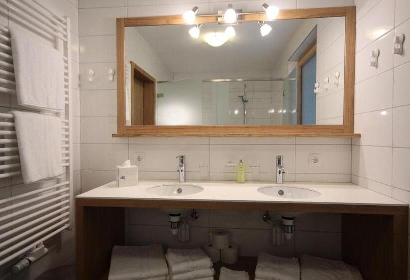 Апартаменты 1 Спальня с Балконом, Damüls Appartements