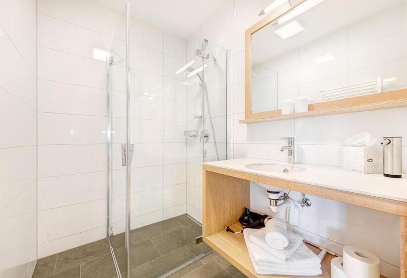 Апартаменты 1 Спальня с Видом, Damüls Appartements
