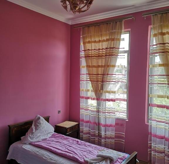اتاق استاندارد, Shorena's House