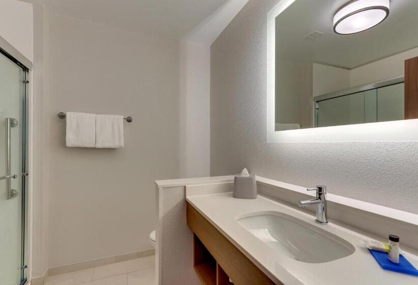 适合残疾人使用的标准间, Holiday Inn Express & Suites   Roanoke – Civic Center