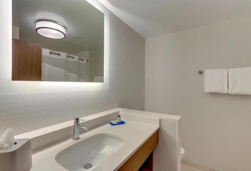 适合残疾人使用的标准间, Holiday Inn Express & Suites   Roanoke – Civic Center