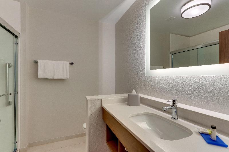 适合残疾人使用的标准间, Holiday Inn Express & Suites   Roanoke – Civic Center