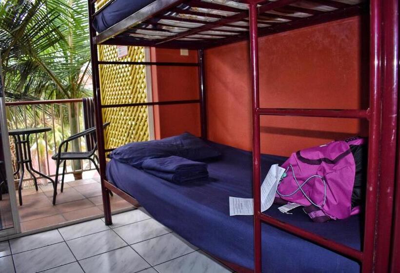 디럭스 룸, Brisbane Backpackers Resort   Hostel