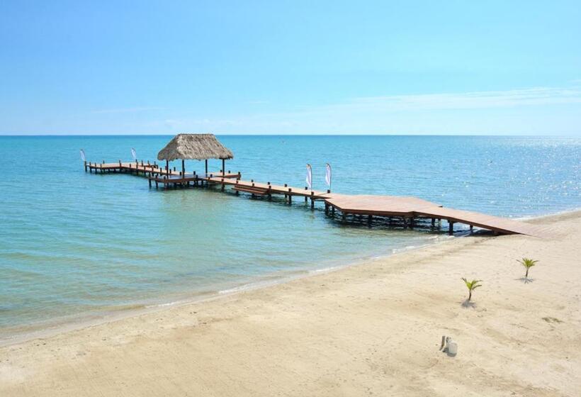 Апартаменты 1 Спальня, Seiri Del Mar
