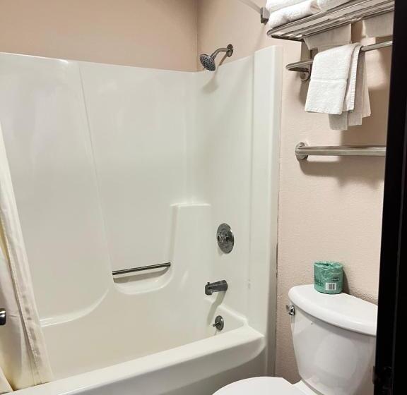 带2个双人床的标准工作室, Viking Arms Inn  Ludington