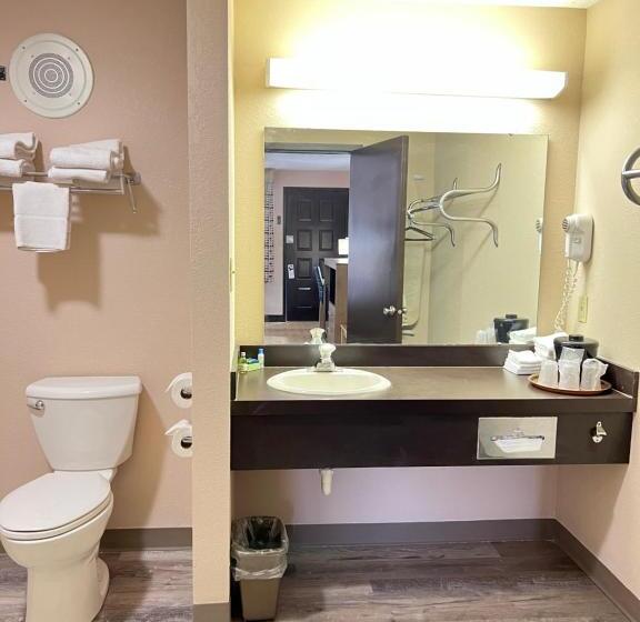 带大床的标准间, Viking Arms Inn  Ludington