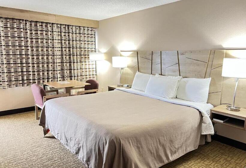 带双人大床的行政管理套房, Viking Arms Inn  Ludington