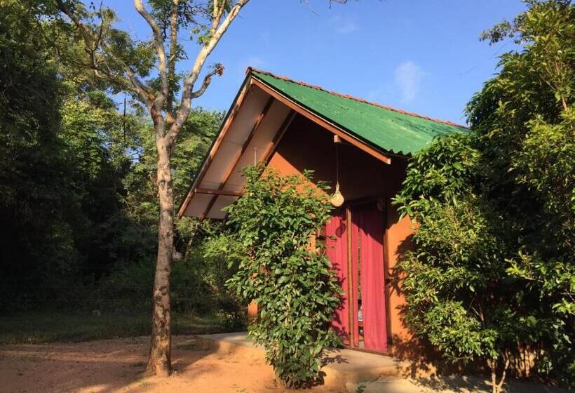 Economy Triple Room, Sky Forest