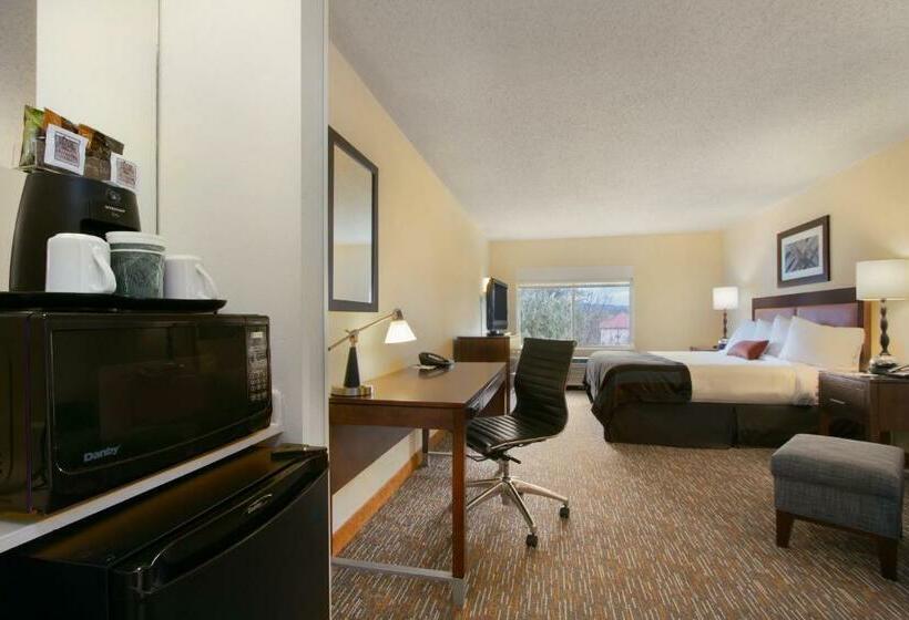 Standaardkamer met Kingsize Bed, Wingate By Wyndham Chattanooga