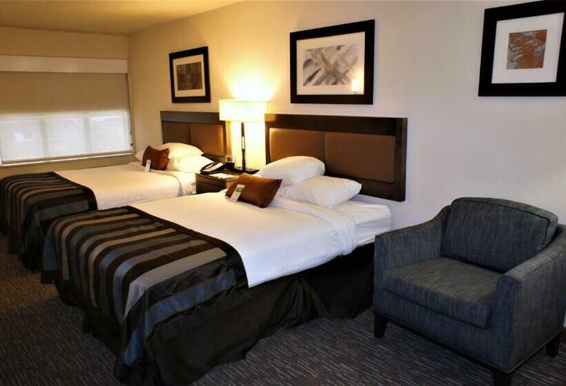 StandaardKamer, Wingate By Wyndham Chattanooga