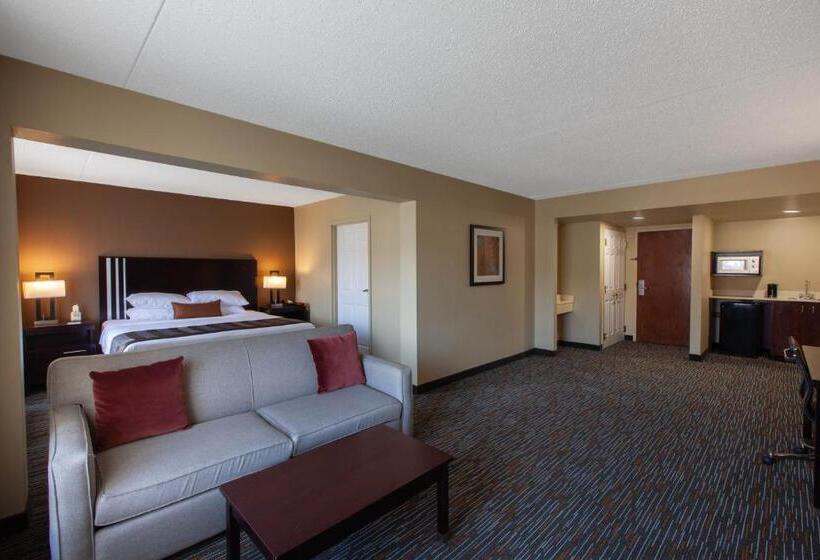 استودیو استاندارد با تخت کینگ, Wingate By Wyndham Oklahoma City Airport
