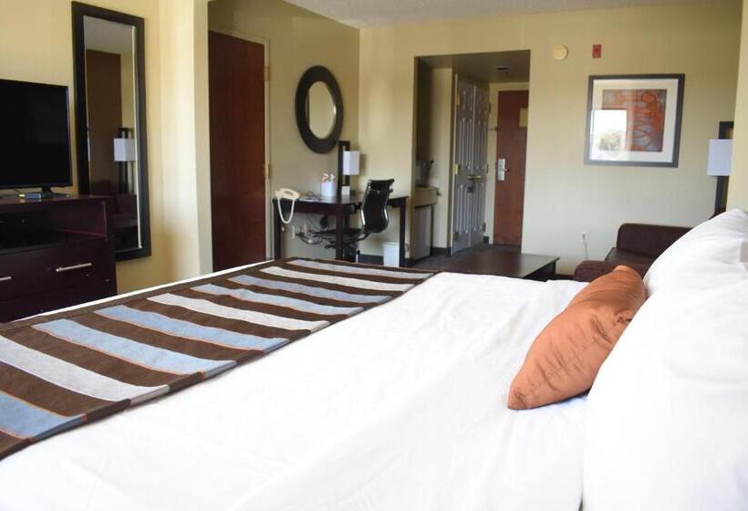 اتاق استاندارد با تخت بزرگ, Wingate By Wyndham Oklahoma City Airport
