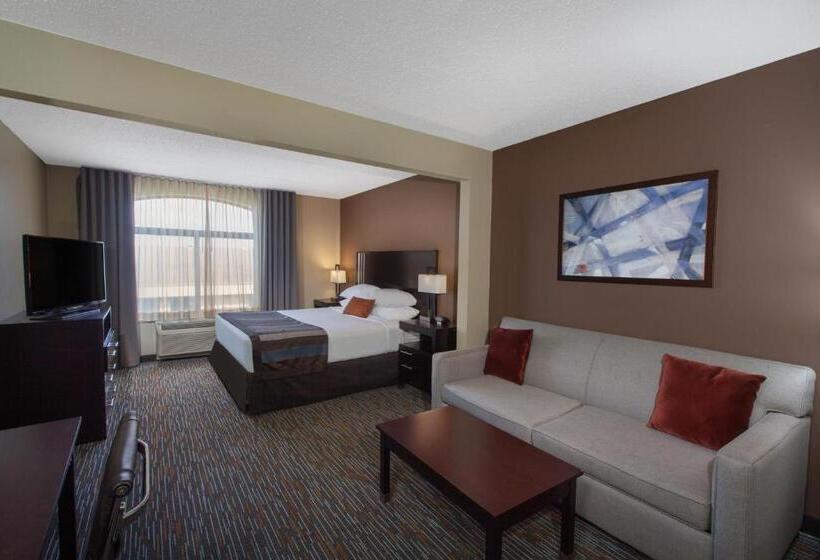 اتاق لوکس با تخت بزرگ, Wingate By Wyndham Oklahoma City Airport