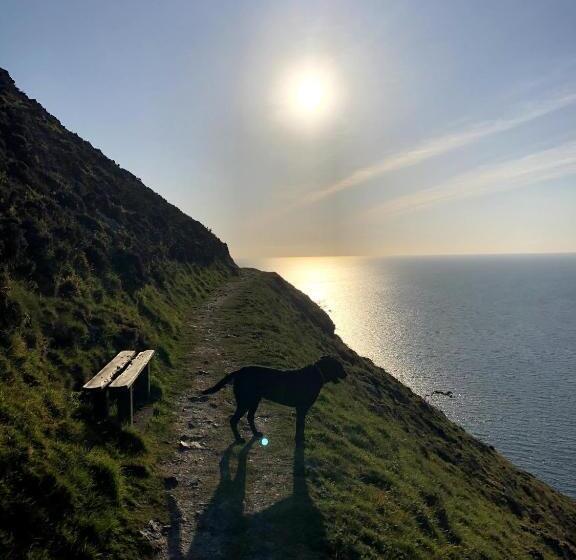 Номер Стандарт, The North Cliff