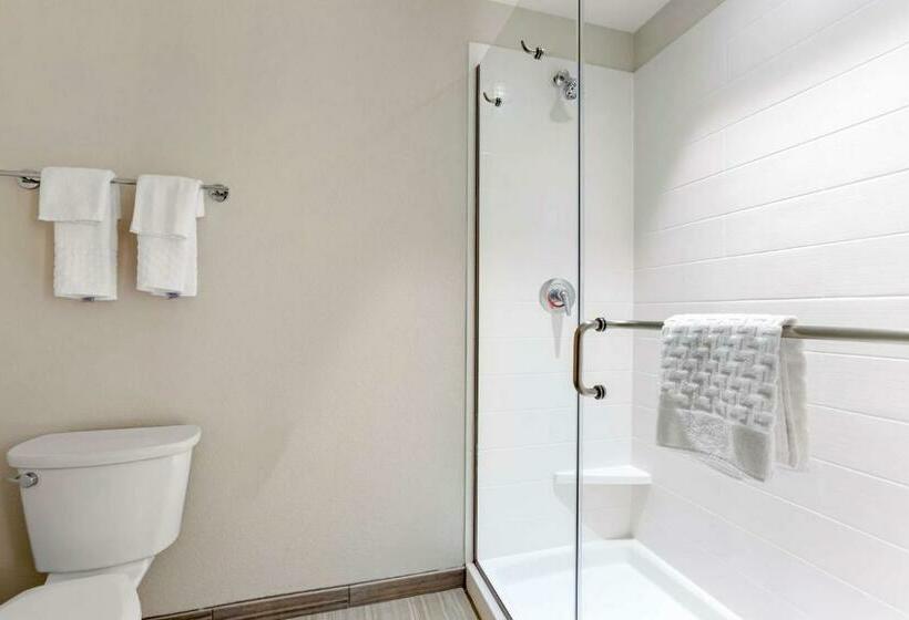 Standard Room King Size Bed, Best Western Plus Executive Residency Phoenix North Happy Valley