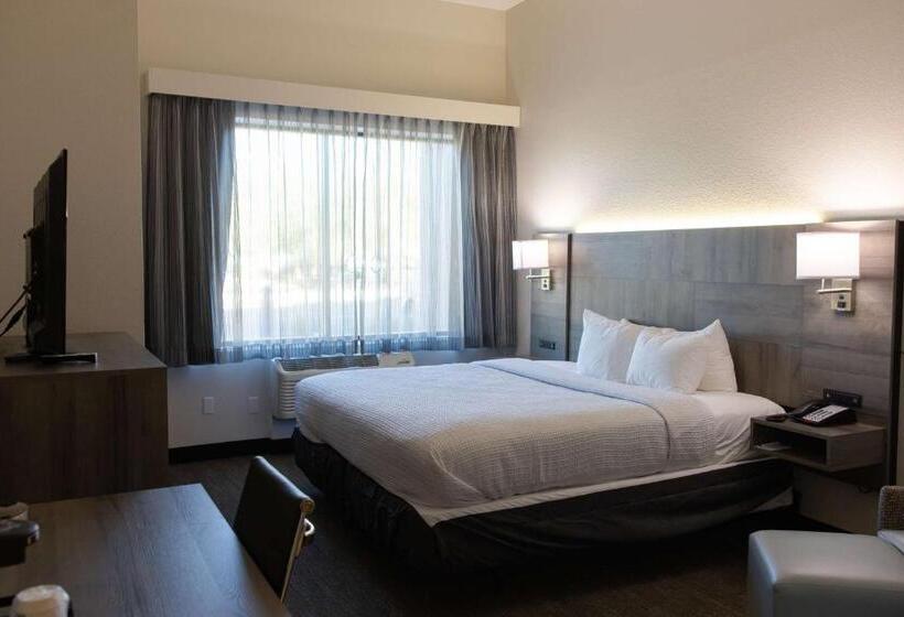 Standard Room King Bed Adapted for people with reduced mobility, Best Western Plus Executive Residency Phoenix North Happy Valley