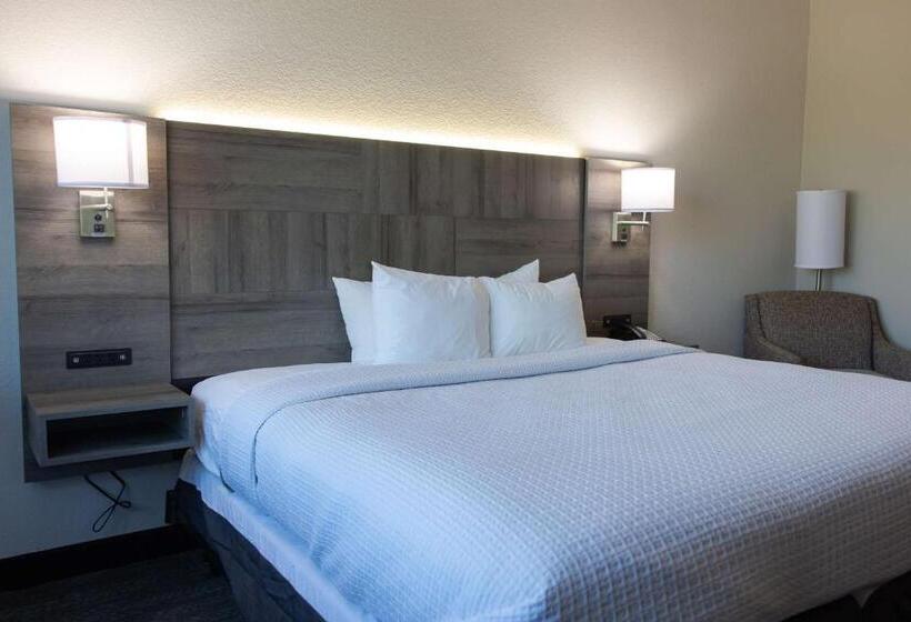 Standard Room King Bed Adapted for people with reduced mobility, Best Western Plus Executive Residency Phoenix North Happy Valley