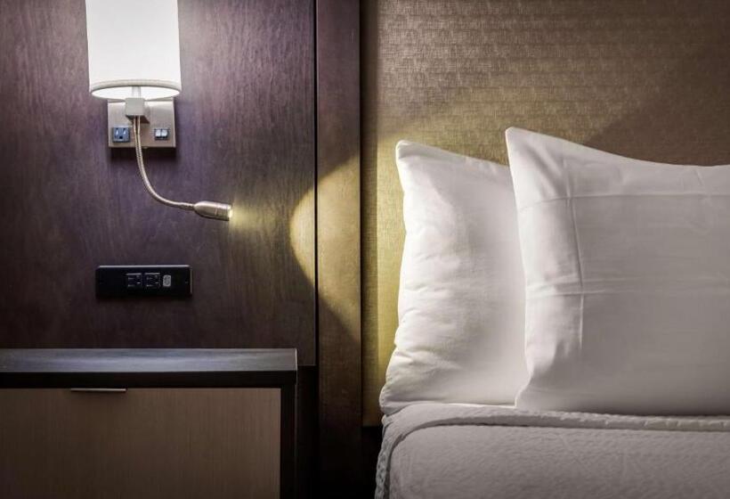 Номер Стандарт 2 Двуспальные Кровати, Best Western  Plus Executive Residency Rigby S Water World