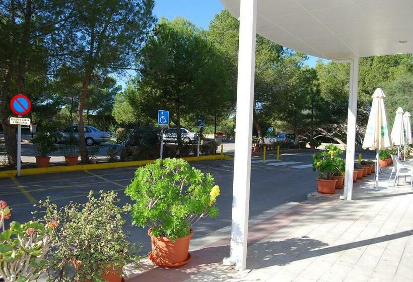 Апартаменты 2 Спальни с Террасой, Palmera Beach