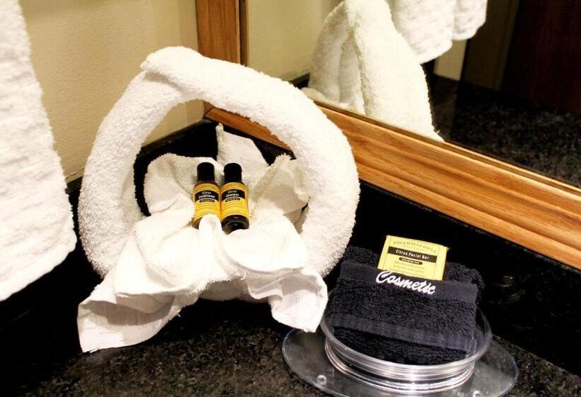 Люкс, Best Western Plus Des Moines West Inn & Suites