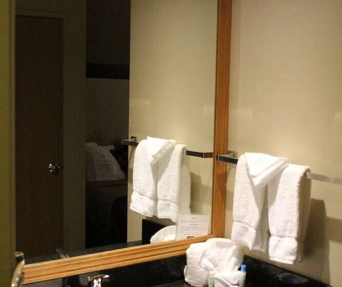 Люкс, Best Western Plus Des Moines West Inn & Suites