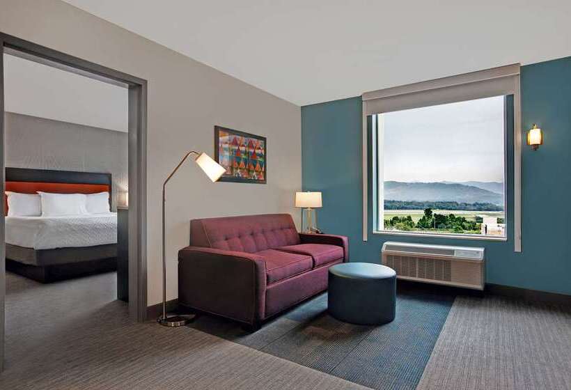 سوئیت با تخت بزرگ, Home2 Suites Asheville Airport