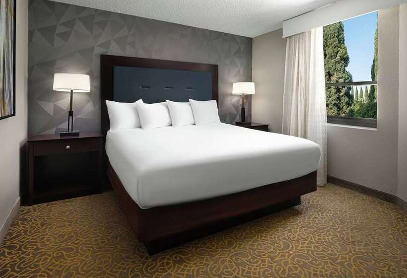سوئیت با تخت بزرگ, Home2 Suites Asheville Airport
