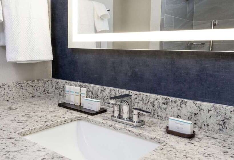 سوئیت با تخت بزرگ, Home2 Suites Asheville Airport