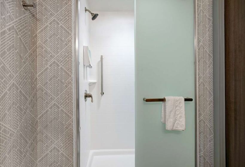 استودیوی استاندارد با تخت دوبل, Home2 Suites Asheville Airport
