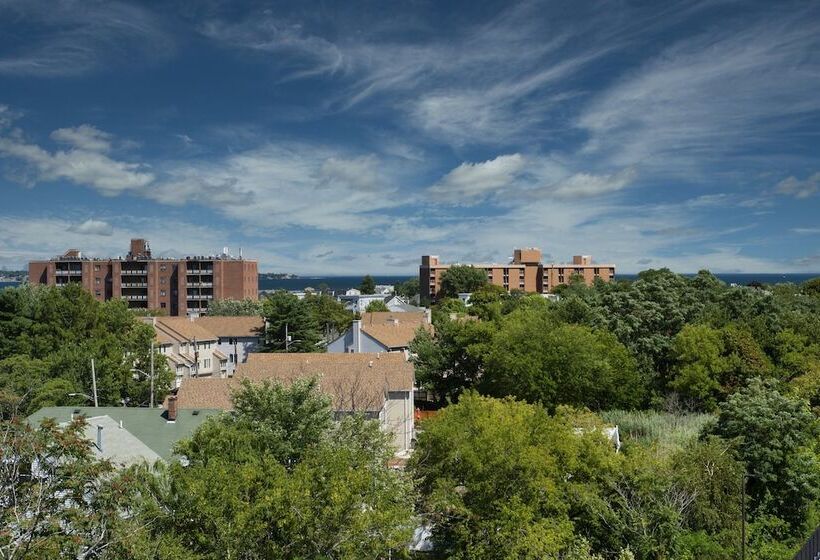 Студия Стандарт Двуспальная Кровать, Staybridge Suites   Boston Logan Airport   Revere, An Ihg