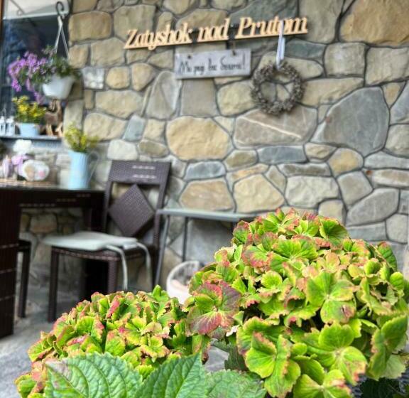 家庭套房, Zatyshok Nad Prutom