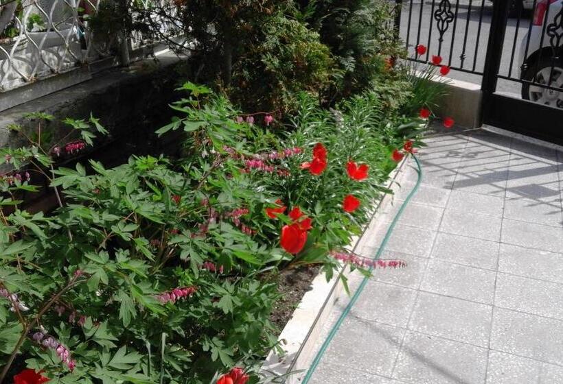 Apartamento 1 Dormitório Vista Mar, Kraybrezhna 3