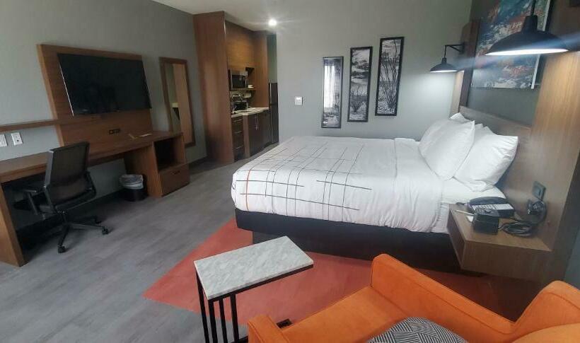 Номер Стандарт Кровать Кинг Адаптированный для Инвалидов, La Quinta Inn & Suites By Wyndham Fort Stockton Northeast